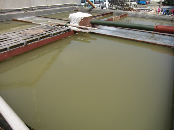 烟台嘉鸿食品2.jpg